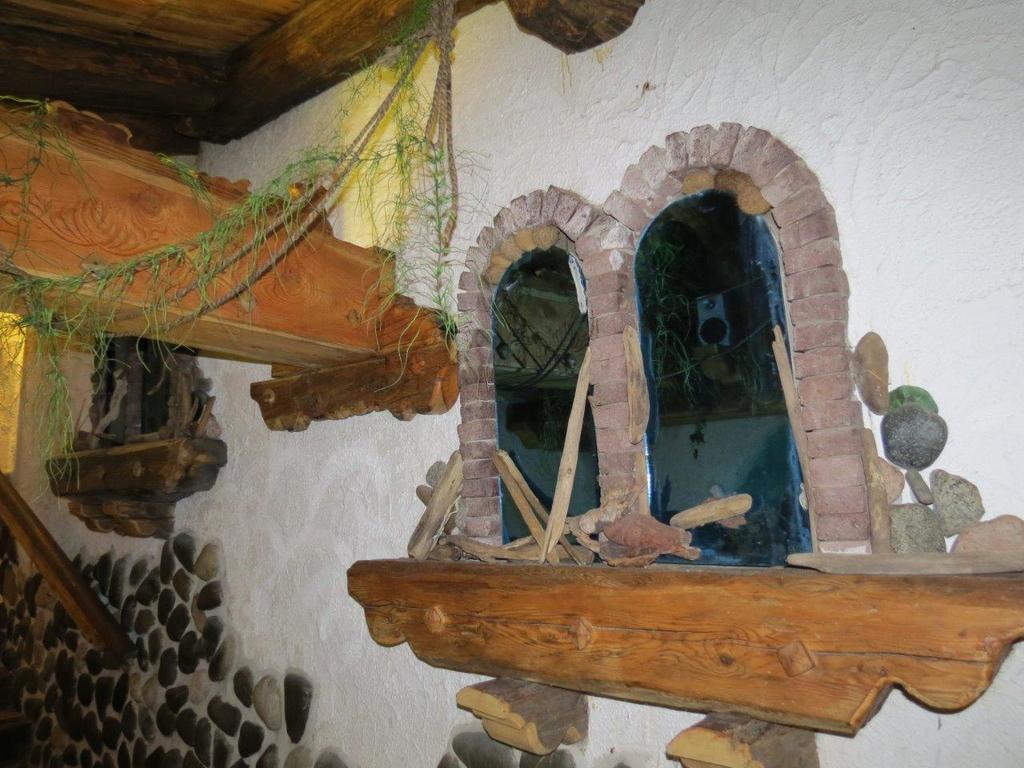 Hotel Ancora Castello-Molina di Fiemme Exteriér fotografie