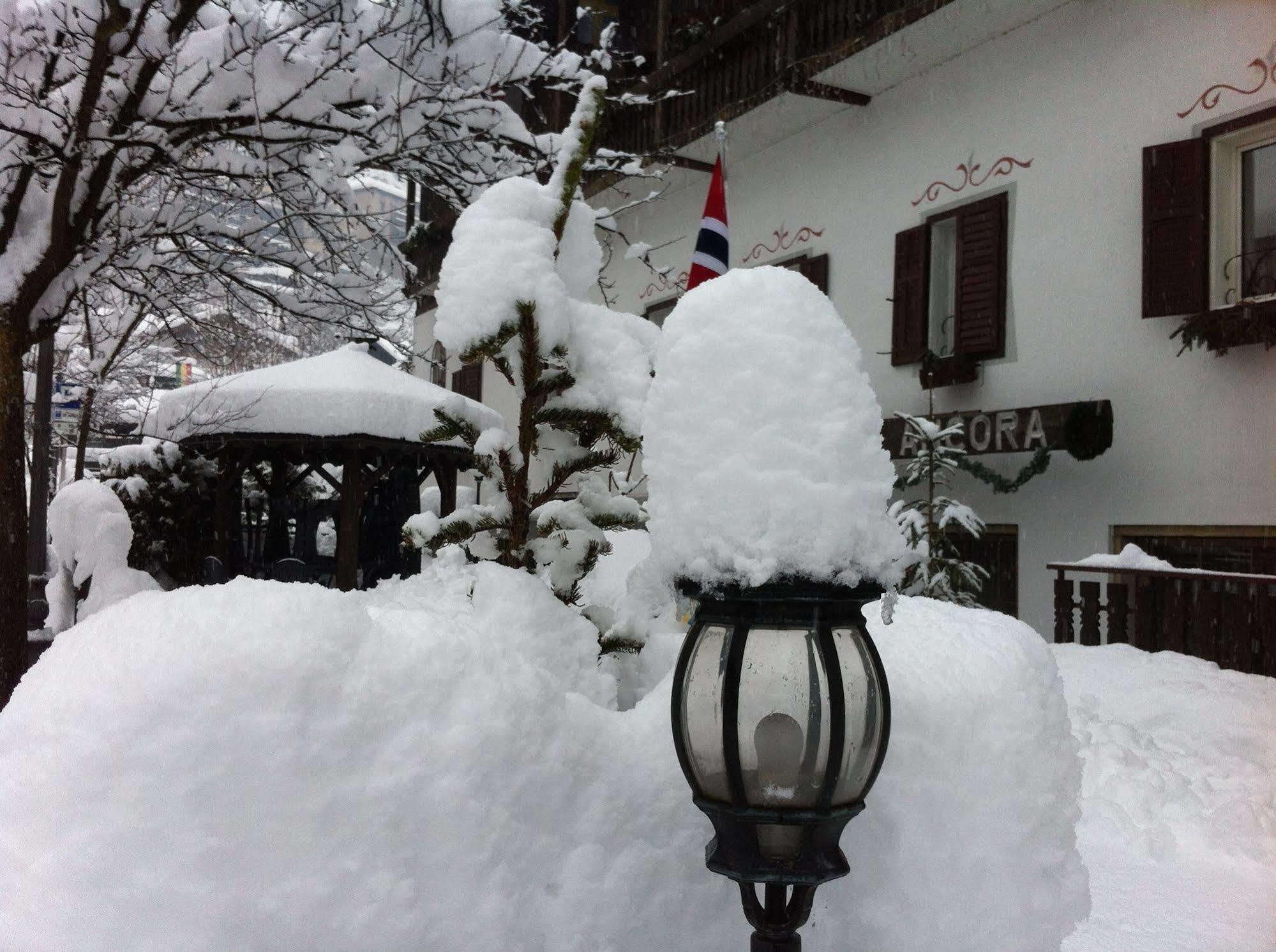 Hotel Ancora Castello-Molina di Fiemme Exteriér fotografie